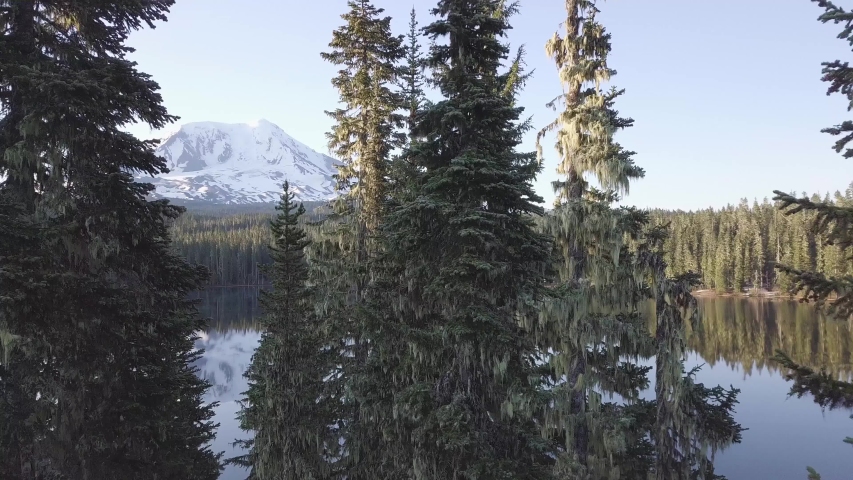 Volcano Mount Adams at Sunrise with Smooth Lake Reflection. Washington State, Great Northwest, United States of America. Mountain lake with turquoise water and green trees. Beautiful spring landscape