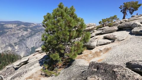 Yosemite National Park at Sentinel Dome summit. Hikers enjoying view of popular El Capitan from Sentinel Dome. Summer travel holidays in California, United States