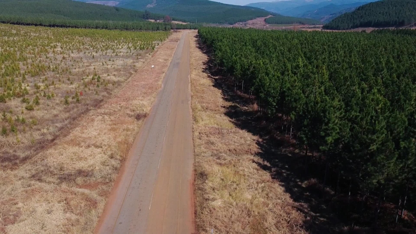 driving on tarmac road in Africa with trees and grass land winter clear skies dry added contains noise, film grain, compression artefacts, pixelation