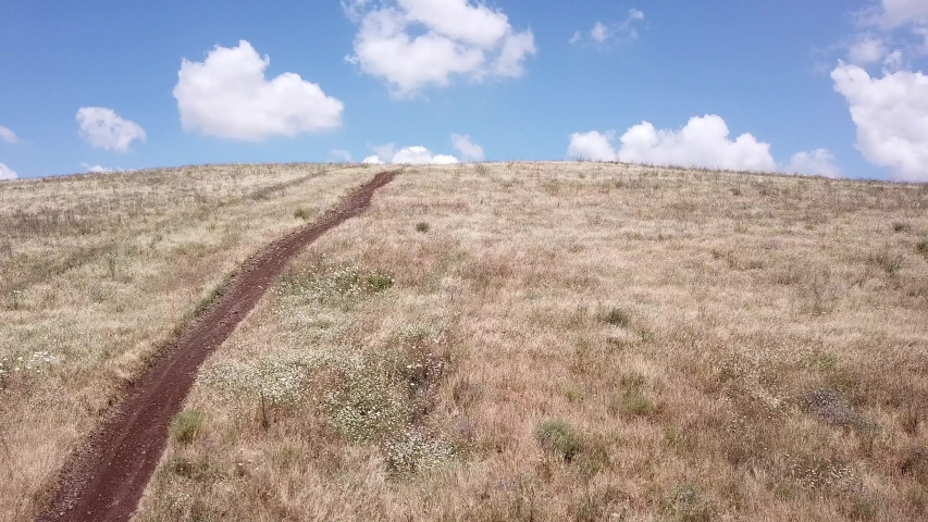 Drone shoot climbs along a path in nature, leading to a tree at the end of the hill, and a view of green landscape and blue sky is revealed.  New Horizon concept. New Beginning.
