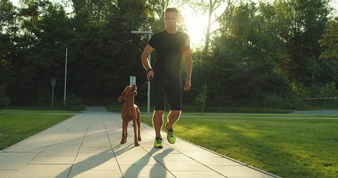 Silhouettes of runner and dog on city street under sunrise sky in morning time. Outdoor walking. Athletic young man jogging, working out with his dog are running in town. 4K video SLOW MOTION
