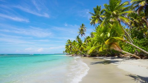 Vacations on pristine Caribbean palm beach. Crystalline azure seawater and clean white sandy beach. Travel to unaffected paradise beach. Punta Cana Dominican Republic beaches.