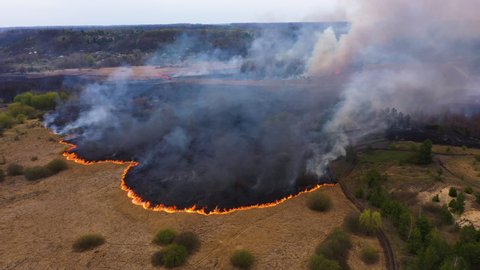 Epic aerial footage of smoking wild fire. Forest and field in the fire. Amazon and siberian wildfires. Dry grass burning. Concept: 2020, Climate change, ecology, earth