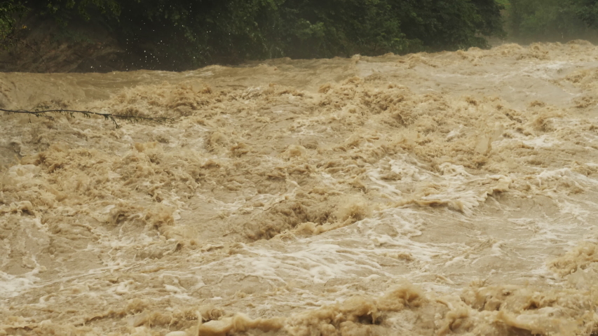 Mountain river flood. Deep dirty water carries trees, branches, and garbage. Dirty river with muddy water in flooding period during heavy rains