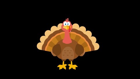85 Dancing Turkey Animal Stock Video Footage - 4K and HD Video Clips |  Shutterstock