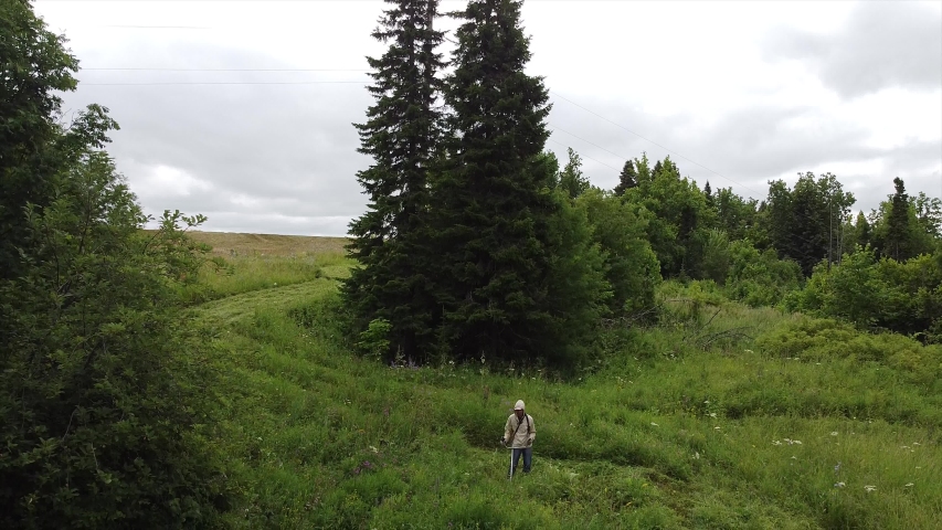 Wonderful, juicy summer landscape in the haymaking, aerial video filming from a drone. A guy using a mower mows the grass at the edge of a coniferous forest to feed farm animals. Udmurtia, Russia.