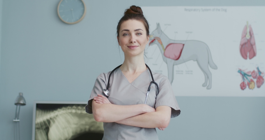 Middle plan of woman lab worker, confidently folding her hands on chest. Veterinarian doctor with stethoscope around neck looking into camera. Concept of pets care, veterinary, healthy animals. Royalty-Free Stock Footage #1056205823
