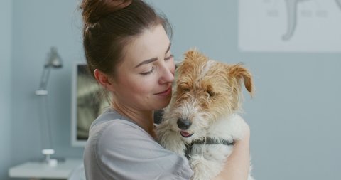 Close up portrait of female veterinarian holding dog and kissing it while waiting for owner after examination at clinic. Vet sitting in medical suit. Concept pets care, veterinary, healthy animals.
