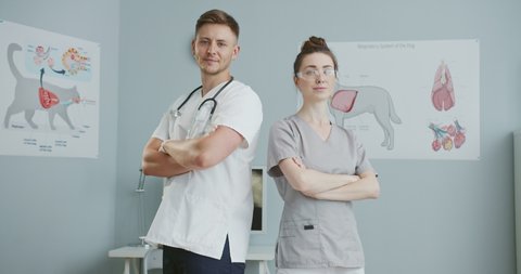 Middle plan doctors confidently folding hands on chest. Veterinarian male and female doctors with stethoscope around neck and glasses looking to camera. Concept pets care, veterinary, healthy animals.