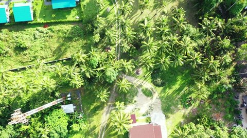 Thailand island with luxury resort and palm plantation. Aerial, High angle