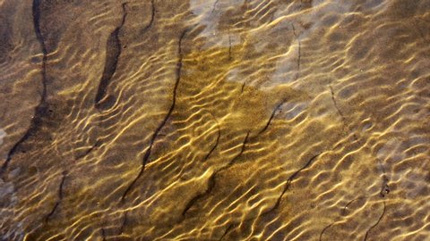 Crystal clear river. Sand waves on the bottom of a stream, Lithuania