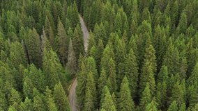 Drone 4k clip with car traveling on the Trans Bucegi mountain road high up in the Carpathian Mountains.