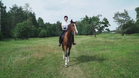 Woman rider on horseback riding in a clearing near the forest, horse walking along a field, horsewoman ride on a horse, front view.