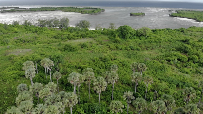 Aerial shot. Flying above the Green Lush Wild Ecuatorial Rain forest in Stormy Weather at Tropical island Pemba at Zanzibar Archipelago. Royalty-Free Stock Footage #1056214196