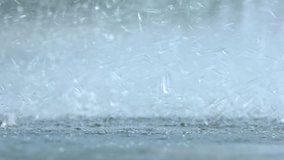 Rain splashes hit the asphalt, heavy rain, close-up - Powered by Shutterstock - Get 15% off with code: PIKWIZARD15