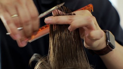 Hairdresser trimming brown hair with scissors. Professional stylist cutting woman's hair in salon, closeup. Close up of hairdresser cutting the hair.