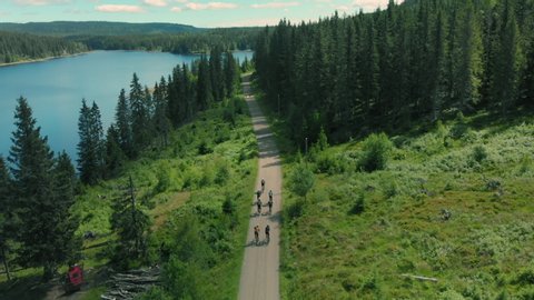 Group of cyclists team ride down gravel mountain road in national park or forest. Friends on bikes ride together have fun outdoors. Aerial drone shot of cyclists ride beautiful epic setting landscape