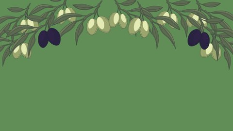 Black and green hand drawn olive leaves and fruits swinging. Copy space. Motion design frame. Green background.