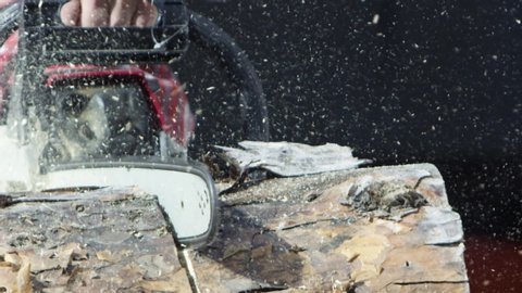 Close up of sawing a log with a chainsaw process. Video. Male carpenter sawing a part of tree trunk with wooden shavings flying into the sides.
