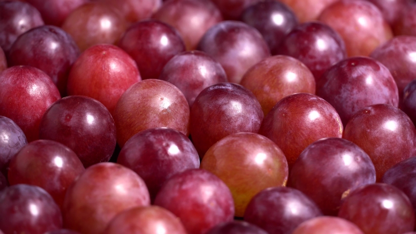 Fresh red grapes rotation background. Grapes close up. Loop motion