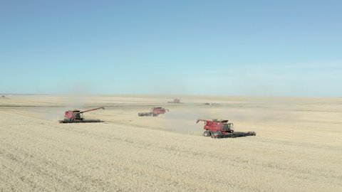 Large industrial farming cutterbar draper machines harvesting wheat grain in flat expansive farmland in Swift Current countryside, Saskatchewan, Canada