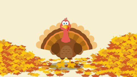 Thanksgiving Turkey Bird Cartoon Character With Autumn Leaves Background. 4K Animation Video Motion Graphics With Background
