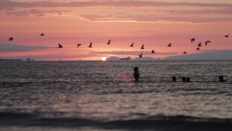 Kids swimming at sunset as birds fly by in Central America