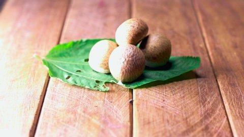 betel nuts on green leaves,betel Nut or Areca Nut background,betel leaf edible eating culture of Asia,green leaf or leaves on betal nuts, 