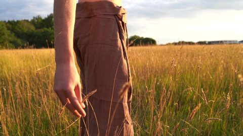 Young man touching dry grass while standing on meadow. High quality footage