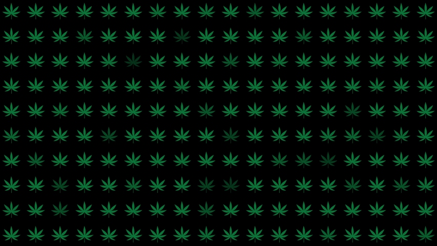 CBD Money Making Industry - Dollar Sign and Cannabis Plant Leaf or Marijuana Graphic Loop Animation