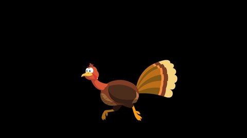 Thanksgiving Turkey Bird Cartoon Character Running.  4K Animation Video Motion Graphics Without Background