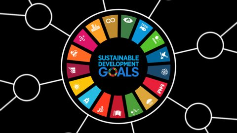 Motion Graphic Animation Transparent Clip Sustainable Development Goals English