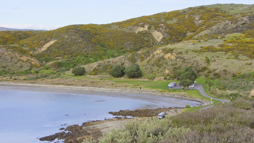 New Zealand coastline park 4k