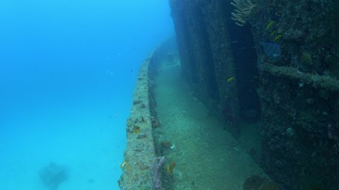 Underwater view of fish swimming near deck of sunken shipwreck / Bridgetown, Barbados