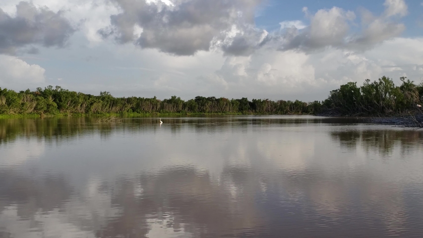 Summer cloudscape reflected on calm water of Eco Pond in Everglades National Park, Florida with Great Egrets wading in pond 4K.