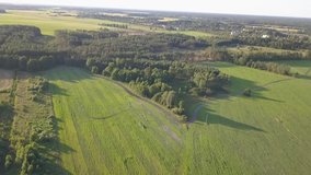 aerial video of green field and forest