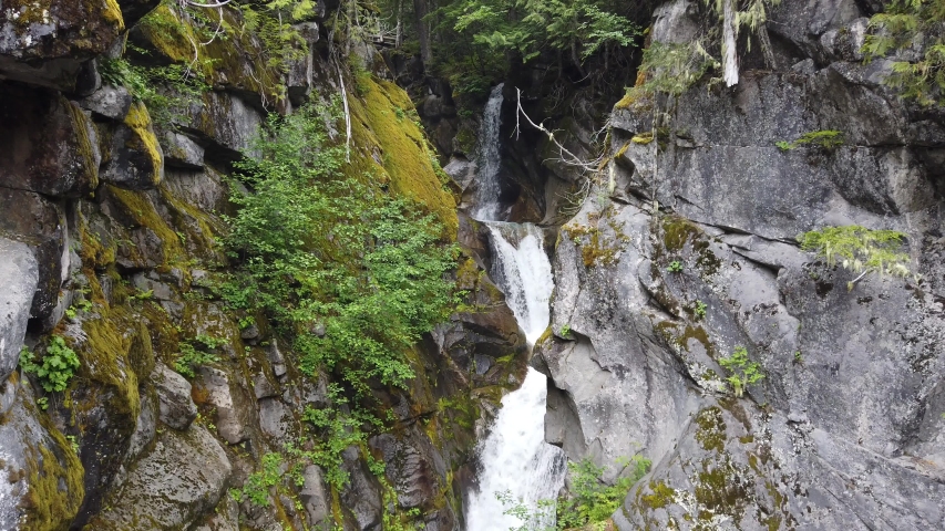 Waterfall in Mt. Ranier Park 