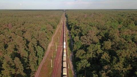 Freight train. A freight train travels through a railroad in the forest.