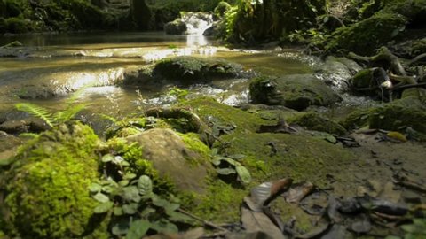 Panning shot of fresh water flows from cascade over the rocks through green plant under sunlight in fertile forest. The abundance of tropical rain forest with small river and lush foliage vegetation.