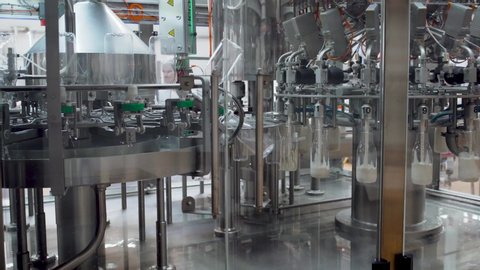 Rotating transporter is pouring fresh milk into bottles. Automated process of filling bottles with milk. Plastic bottles are moving along the conveyor for filling