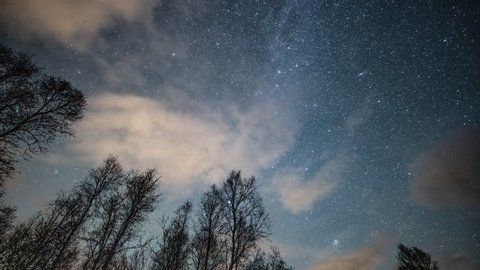A timelapse of the magnificent night sky. Billions of stars twinkle and shine on the dark sky. White wispy clouds passing. Dark silhouettes of the trees stretch to the sky.