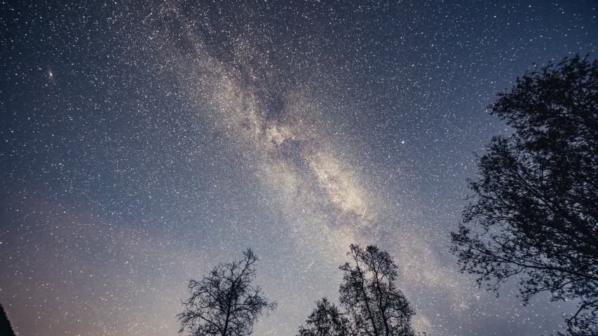 A timelapse of the magnificent night sky. The Milky Way glowing on the dark sky. Billions of stars twinkle. Dark silhouettes of the trees stretch to the sky. | Shutterstock HD Video #1056328073