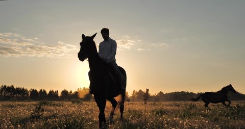 Steadicam movement of the camera around a rider in a white shirt galloping on a brown horse across the morning field lit by the dawn sun, steam is coming from the horse's nostrils, two bareback horses