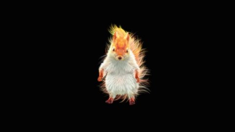 Squirrel, Chipmunk Dance CG fur, 3d rendering, animal realistic composition, 3d mapping, cartoon, Animation Loop, Included in the end of the clip with Alpha matte.