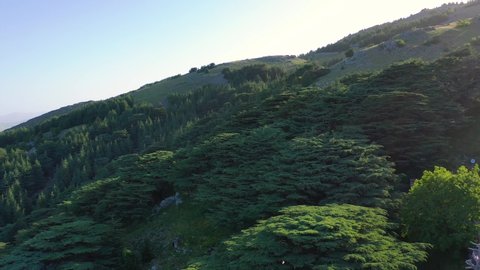 drone footage for the Lebanese cedars forest 