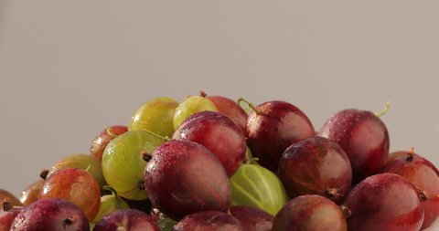 
Close-up shot of gooseberry fruit. Fresh, juicy, organic, colorful gooseberries spin on a white background.