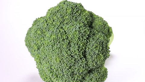 Broccoli 中文