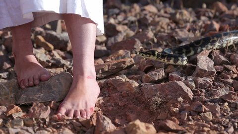 A snake at the injured bloody feet of a girl in the desert among stones
