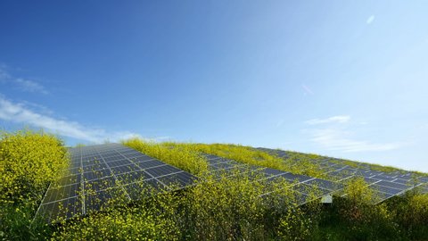 Solar farm built on former waste dump