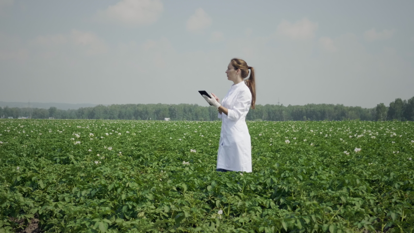 Field scientist. Женщина агроном.